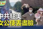 香港希望之聲