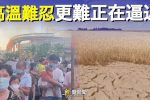 香港希望之聲