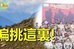 香港希望之聲