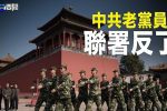 香港希望之聲