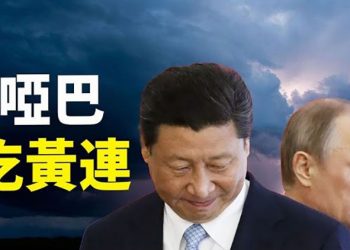 【粵覽新聞】普京坑了中國逾11億 習近平一聲不吭；TikTok幫美中期選舉打擊虛假信息 主播：林茵  婉兒