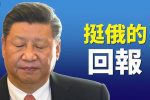 香港希望之聲