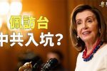 香港希望之聲