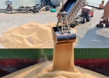美金融專家：中共大量囤糧 導致全球食品價格上漲