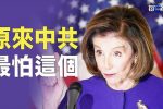香港希望之聲