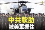 香港希望之聲