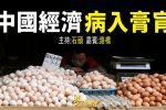 香港希望之聲