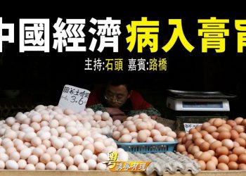 【粵講粵有理】  中國經濟 病入膏肓 (中文字幕)