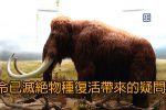 香港希望之聲