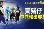 香港希望之聲