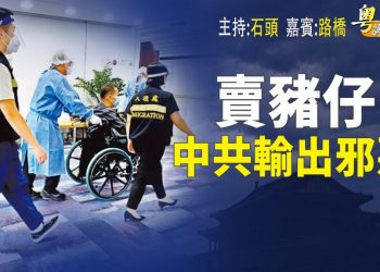 【粵講粵有理】  賣豬仔  中共輸出邪惡  (中文字幕)