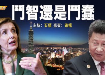【粵講粵有理】鬥智還是鬥蠢 (中文字幕)