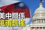 香港希望之聲