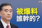 香港希望之聲
