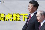 香港希望之聲 香港希望之聲