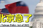香港希望之聲