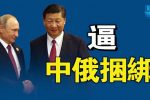 香港希望之聲