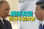 香港希望之聲 香港希望之聲