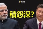 香港希望之聲