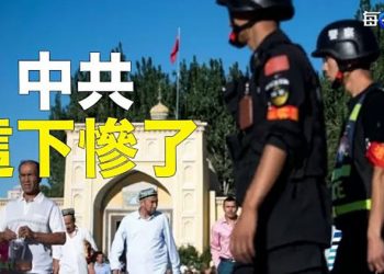 【每日要聞】UN人權報告最後一刻發布 中共逃不脫反人類罪？北京急如熱鍋蟻 主播：鍾嘉慧 