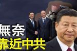 香港希望之聲 香港希望之聲