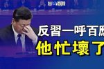香港希望之聲