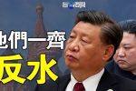 香港希望之聲