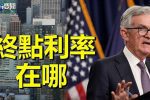 香港希望之聲