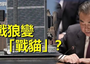 【每日要聞】王毅聯合國變 戰貓？人民幣再破重要關口人行降損續貶難見底！ 主播：葉晚風  