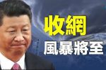 香港希望之聲