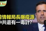 香港希望之聲