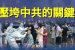 香港希望之聲