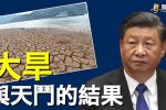 香港希望之聲