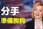 香港希望之聲