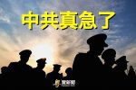 香港希望之聲