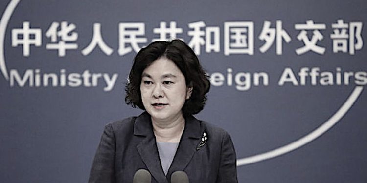 近日,華春瑩在推特上發出一段西南大學外教福蘭克(Francis Stonier)在四川重慶北碚當志願者、幫助撲滅山火的受訪視頻。 而美國駐華大使伯恩斯(Nicholas Burns)9月1日對她的一段回應視頻引發了熱議。(圖片: VCG/VCG via Getty Images)