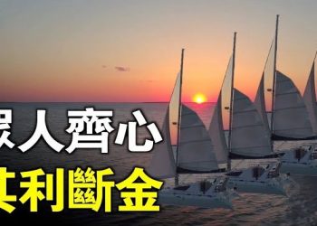 【唐人街】-“海外華人要為大陸和港人發聲”