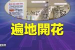 香港希望之聲 香港希望之聲