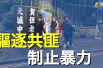 香港希望之聲 香港希望之聲