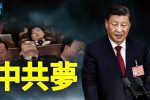 香港希望之聲