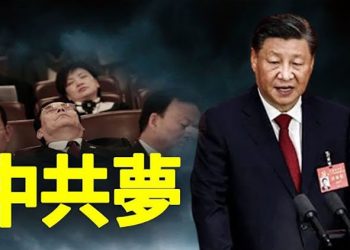 【粵覽新聞】二十大習跳著讀稿台下睡覺 外媒關注他 主播：黃曉翔 林迪