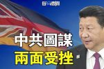 香港希望之聲 香港希望之聲