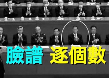 【粵覽新聞】二十大臉譜眾生相    