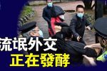 香港希望之聲 香港希望之聲