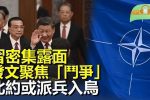 香港希望之聲