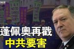 香港希望之聲