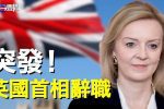 香港希望之聲 香港希望之聲