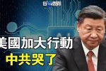 香港希望之聲