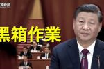 香港希望之聲 香港希望之聲