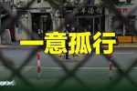 香港希望之聲